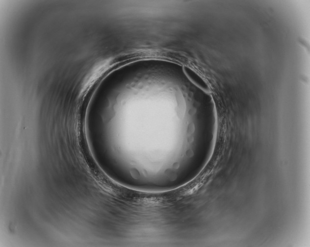 X0000091530103200708171230