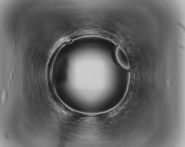 X0000091530104200708171230