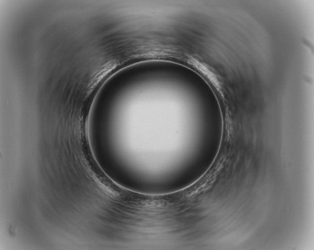 X0000091530105200708171230
