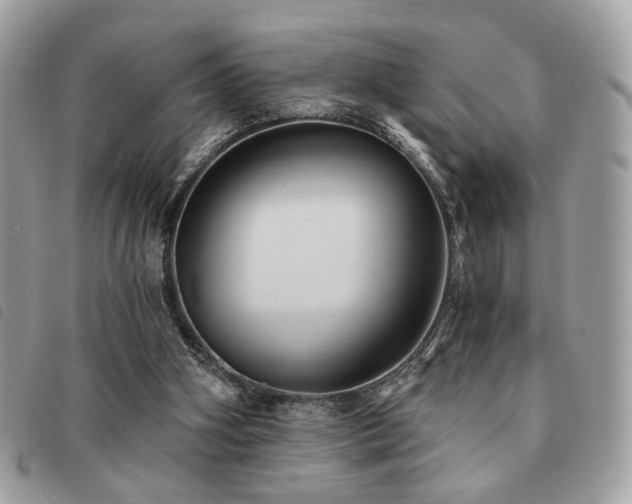 X0000091530106200708171230