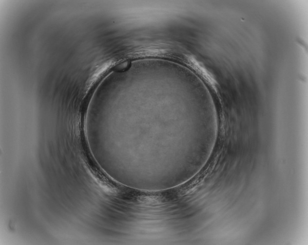 X0000091530107200708171230