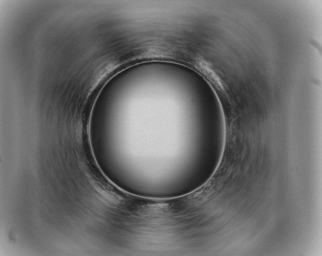 X0000091530108200708171230