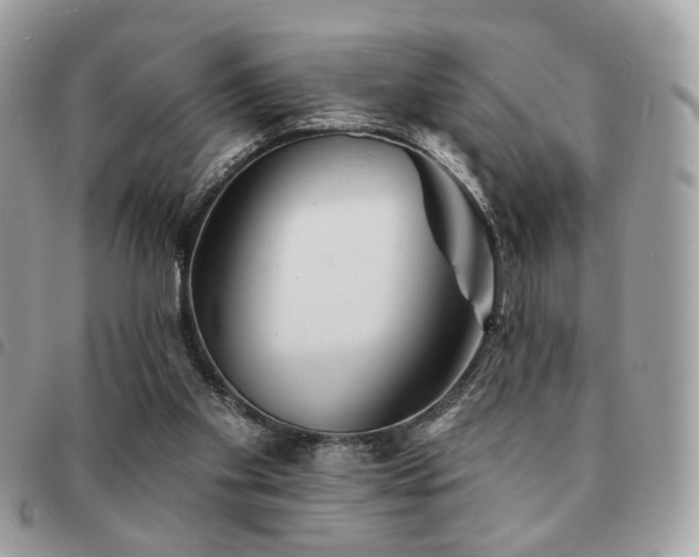 X0000091530109200708171230