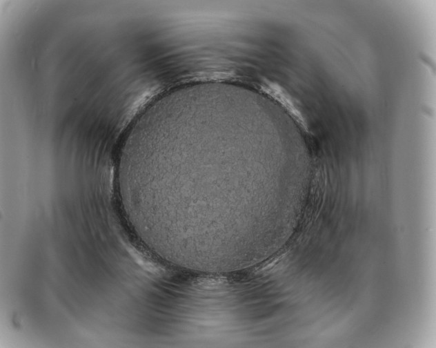 X0000091530110200708171230