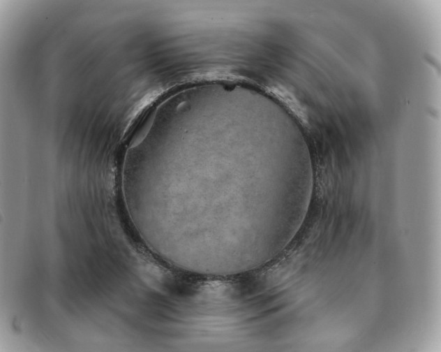 X0000091530111200708171230