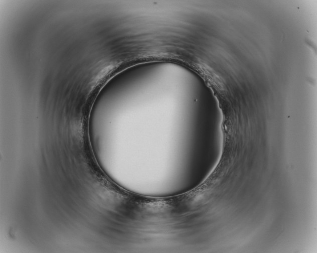 X0000091530112200708171230