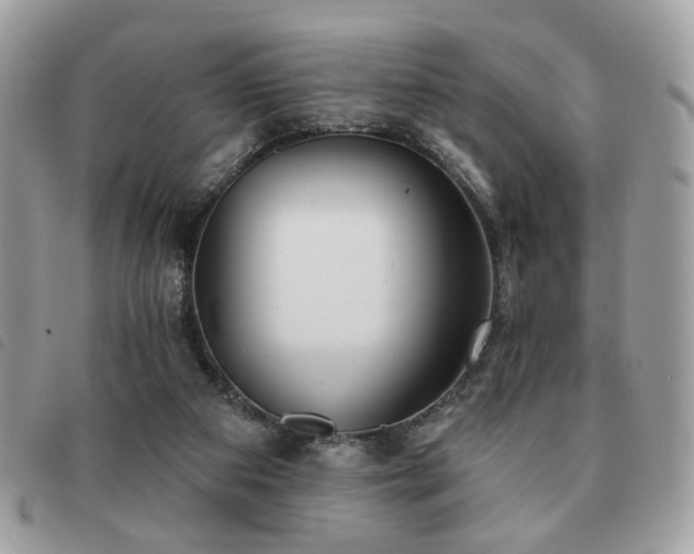 X0000091530113200708171230
