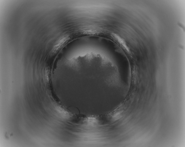 X0000091530114200708171229