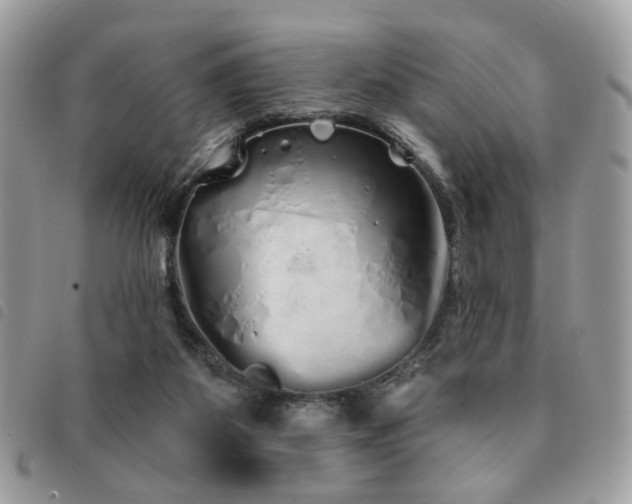 X0000091530115200708171229