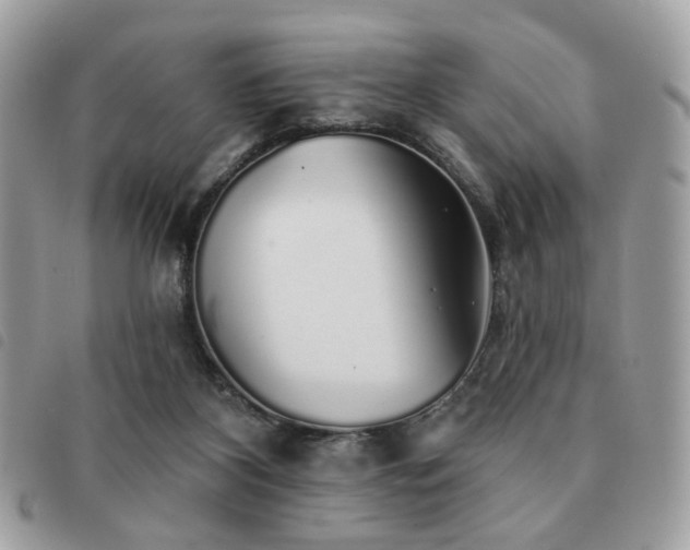 X0000091530116200708171229