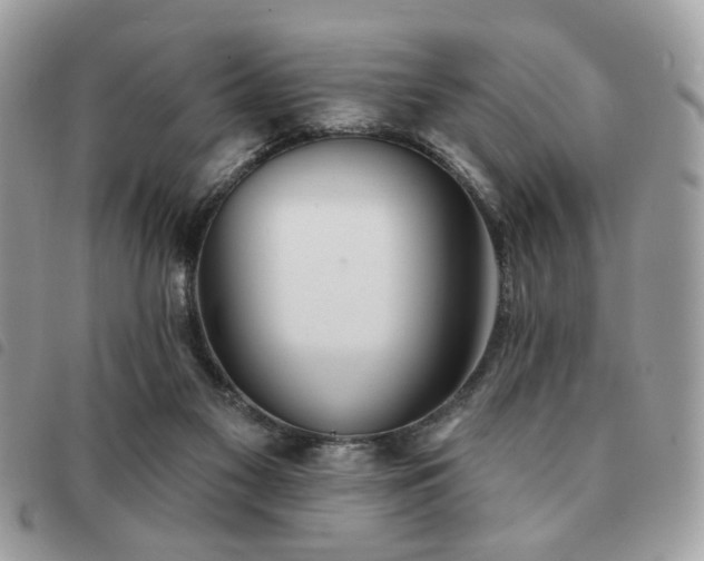 X0000091530117200708171229