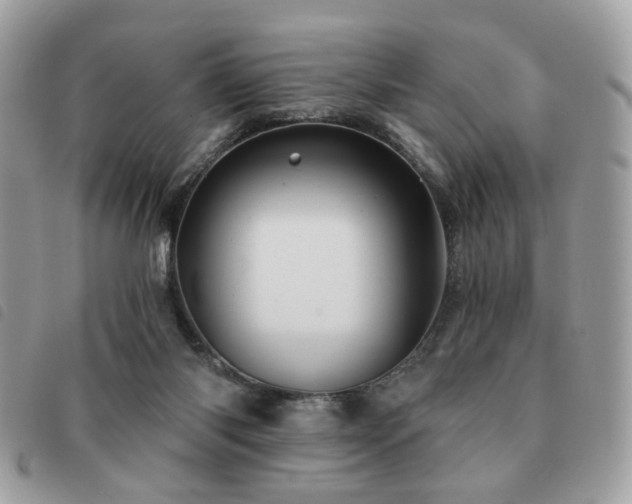 X0000091530118200708171229