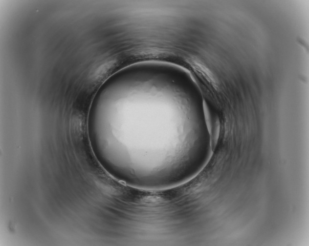 X0000091530119200708171229