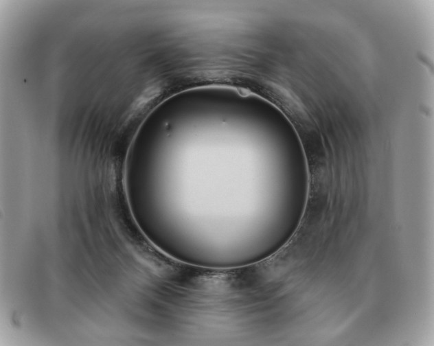 X0000091530120200708171229