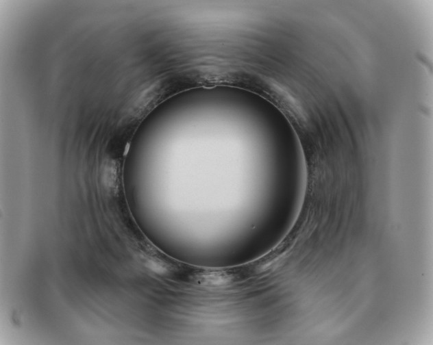 X0000091530121200708171229