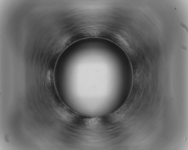 X0000091530122200708171229
