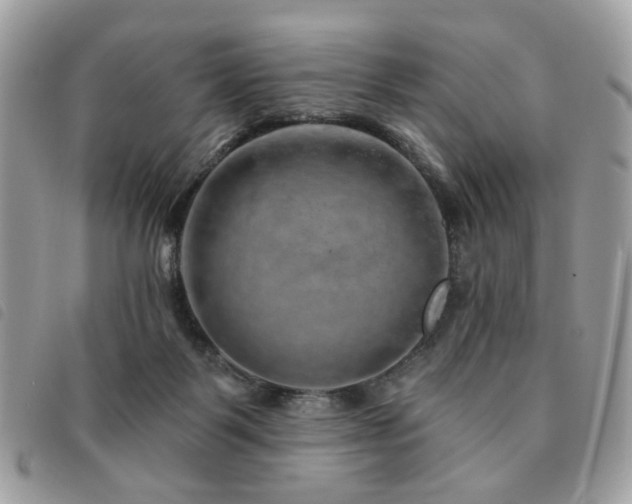 X0000091530123200708171229