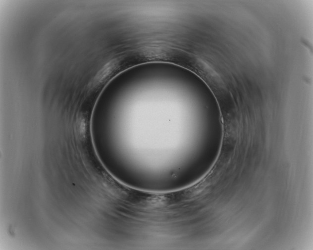 X0000091530124200708171229