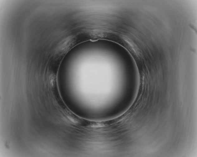 X0000091530125200708171229
