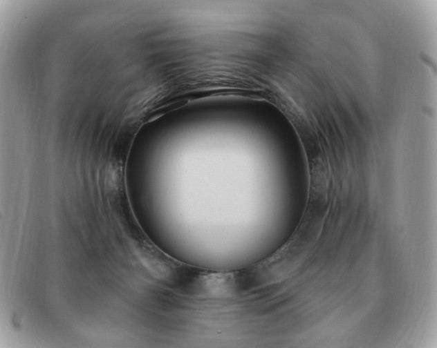 X0000091530126200708171229