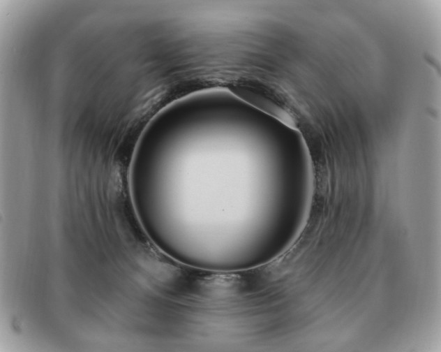 X0000091530128200708171229