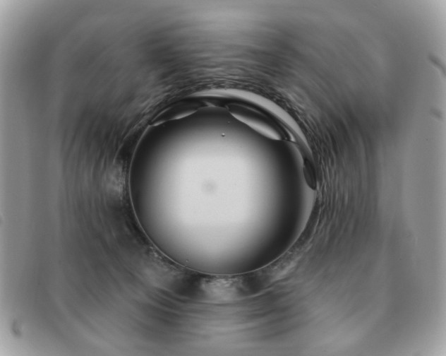 X0000091530129200708171229