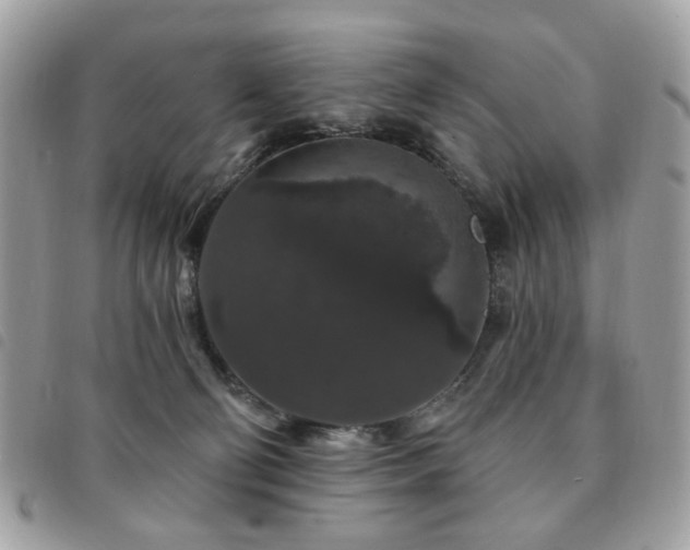 X0000091530130200708171229