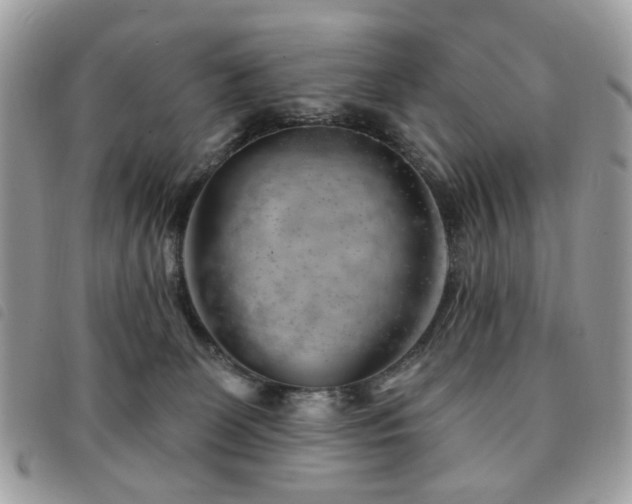 X0000091530131200708171229