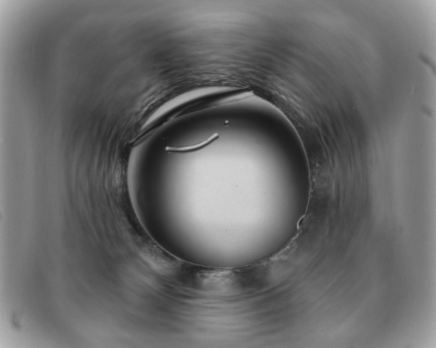 X0000091530132200708171229