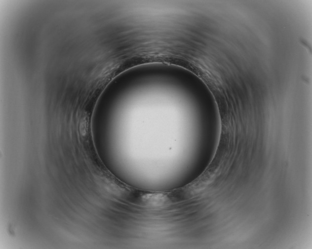 X0000091530133200708171229