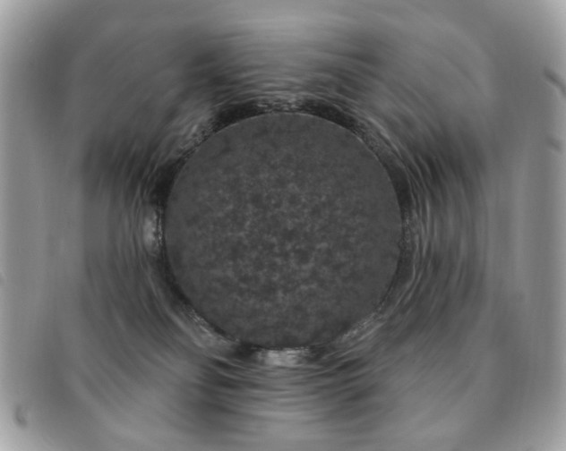 X0000091530134200708171229
