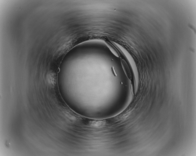 X0000091530135200708171229