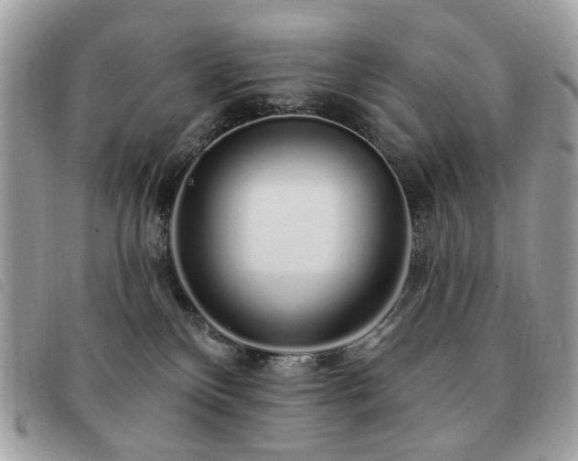 X0000091530136200708171229