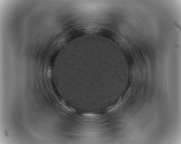 X0000091530137200708171229