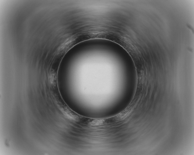 X0000091530138200708171229