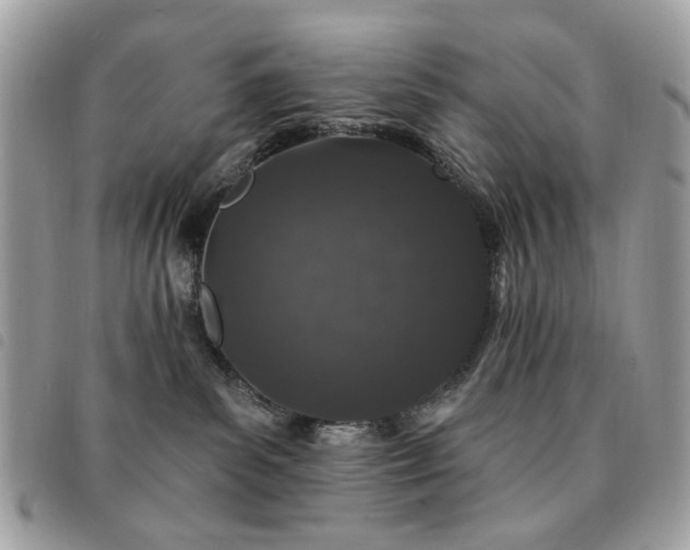 X0000091530139200708171229