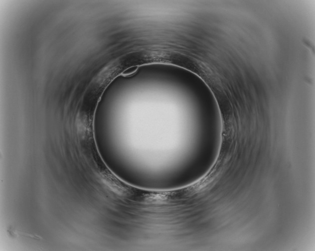 X0000091530140200708171229
