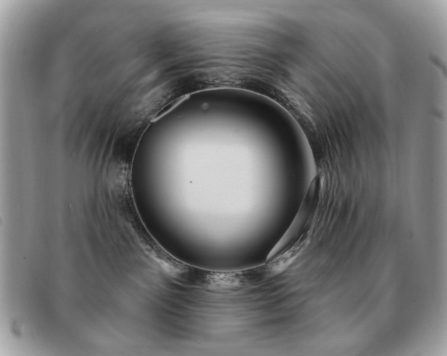 X0000091530141200708171229