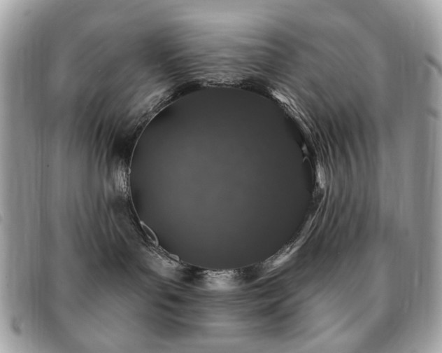 X0000091530143200708171229