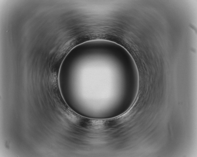 X0000091530144200708171229
