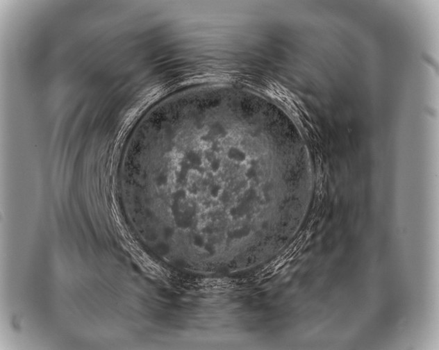X0000091530145200708171228