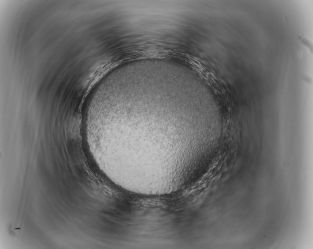 X0000091530146200708171228