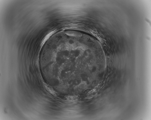 X0000091530147200708171228