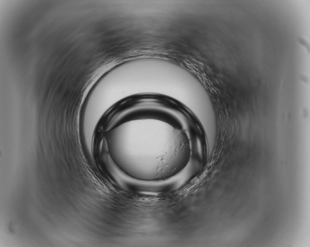 X0000091530148200708171228