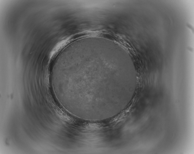 X0000091530149200708171228