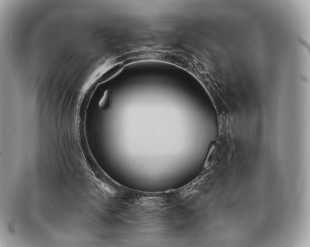 X0000091530150200708171228