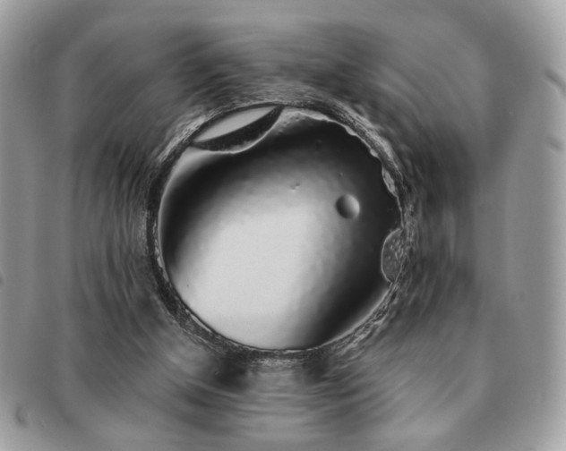 X0000091530154200708171228