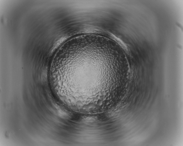 X0000091530155200708171228