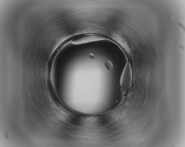 X0000091530156200708171228