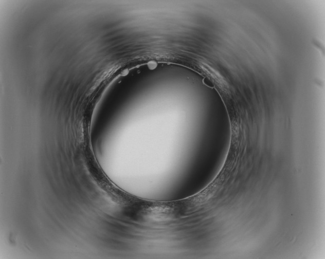 X0000091530158200708171228